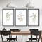Summer Colorful Floral Wildflower Wall Art Decor, 16x11 Inch Rustic Watercolor Botanical Flower with Wood Frame, Modern Home Living Room Abstract Plant Wall Hanging Set of 3 (Black)